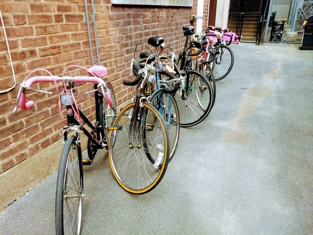 A half dozen bikes line up along a brick wall in the BiCi Co alley on a sunny day.